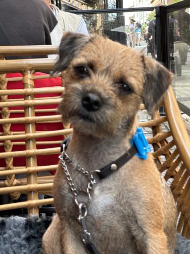 "Diva" på restaurang