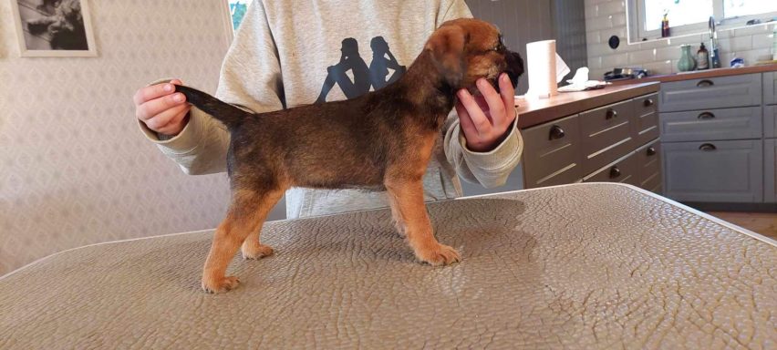 Nala en naturbegåvning redan från början