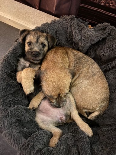 Mor Nala och dotter Lexie som är oskiljaktiga