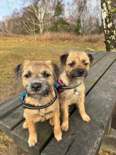 Ute på tur med matte och husse