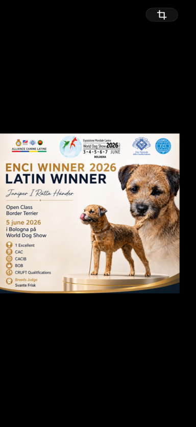 ENCI WINNER LATIN WINNER WDS BOLOGNA 2026 ENCI WINNER LATIN WINNER WDS BOLOGNA 20926
