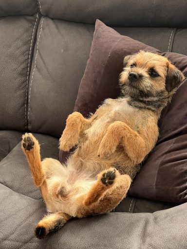 Ja alla stilar är bra Diva!